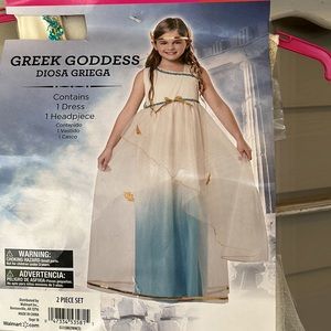 Dress-Up/Halloween Costume